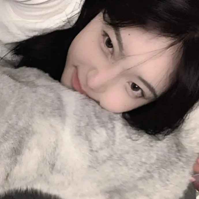 小太阳达芬妮